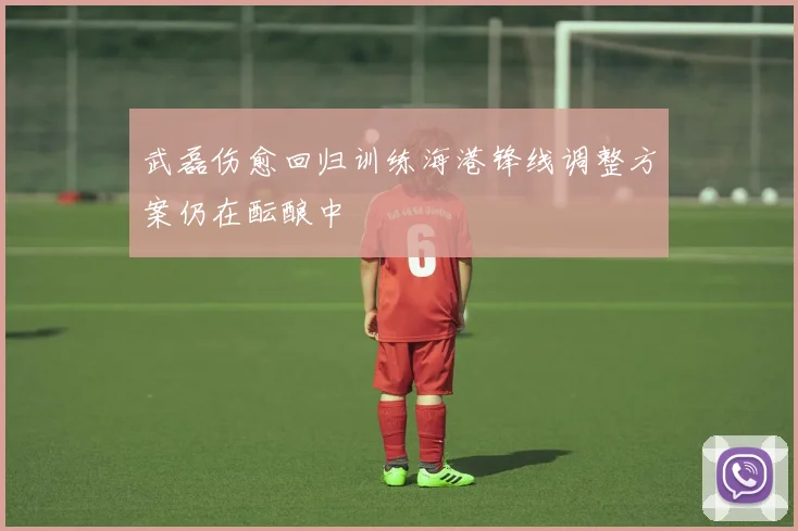 武磊伤愈回归训练海港锋线调整方案仍在酝酿中