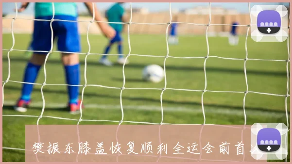樊振东膝盖恢复顺利全运会前首次训练强度提升分析与展望
