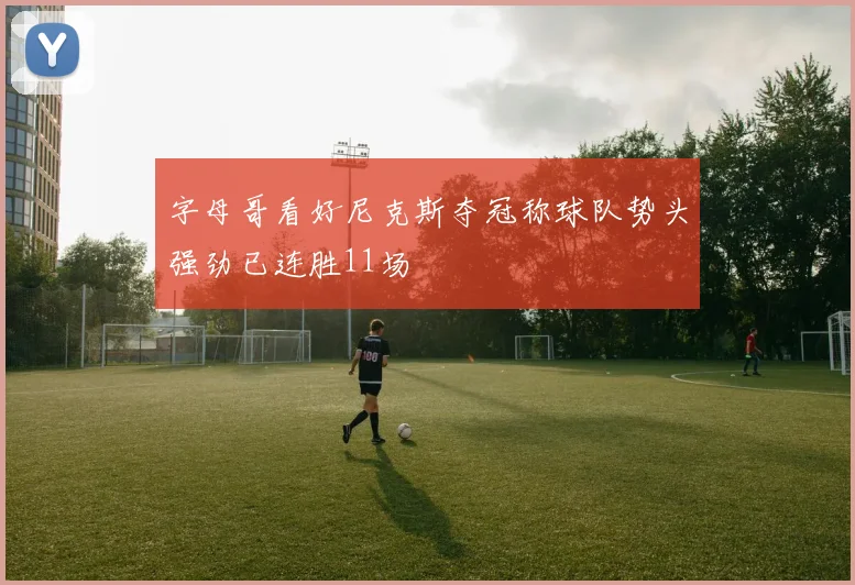 字母哥看好尼克斯夺冠称球队势头强劲已连胜11场
